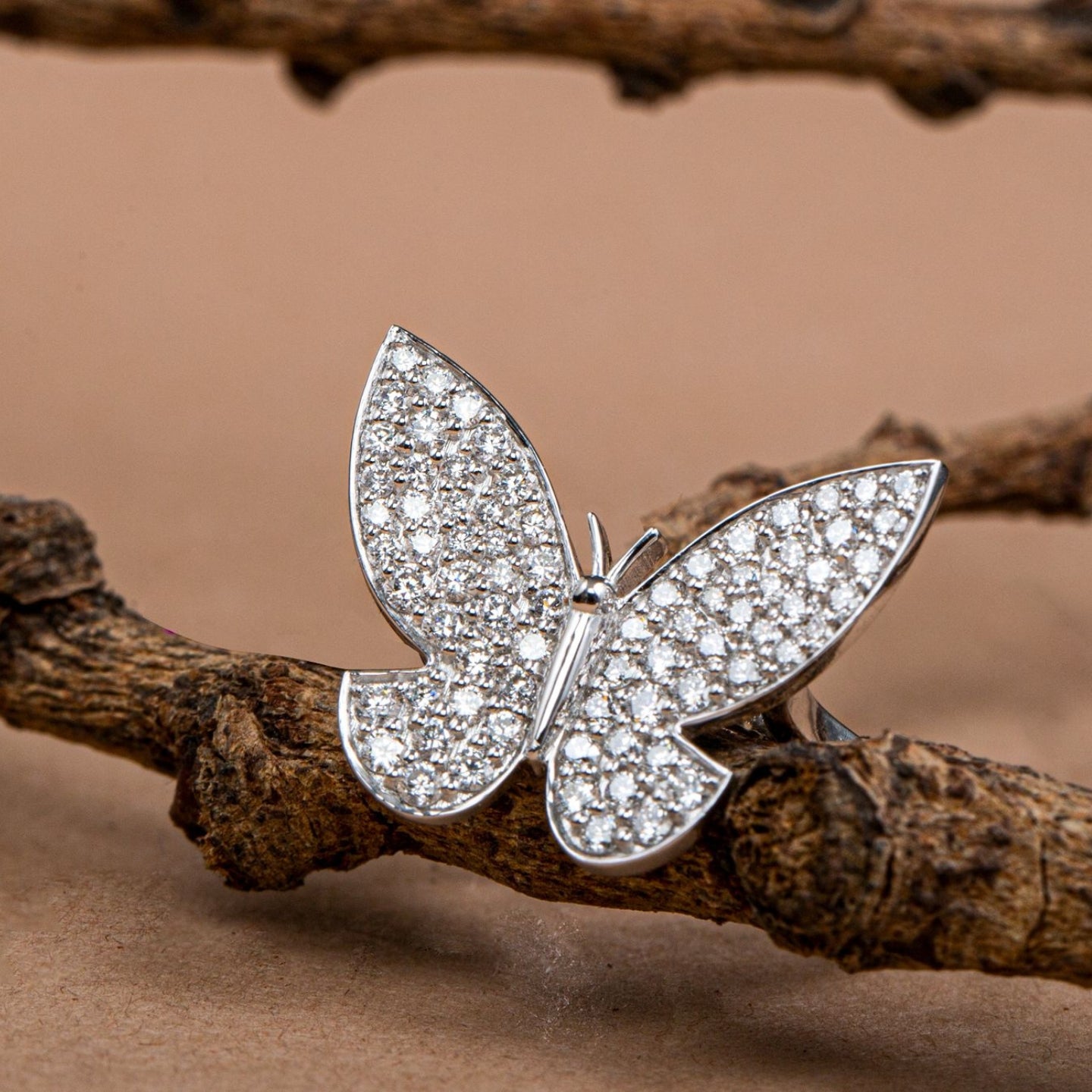 TAGUS BUTTERFLY "FAUNA".