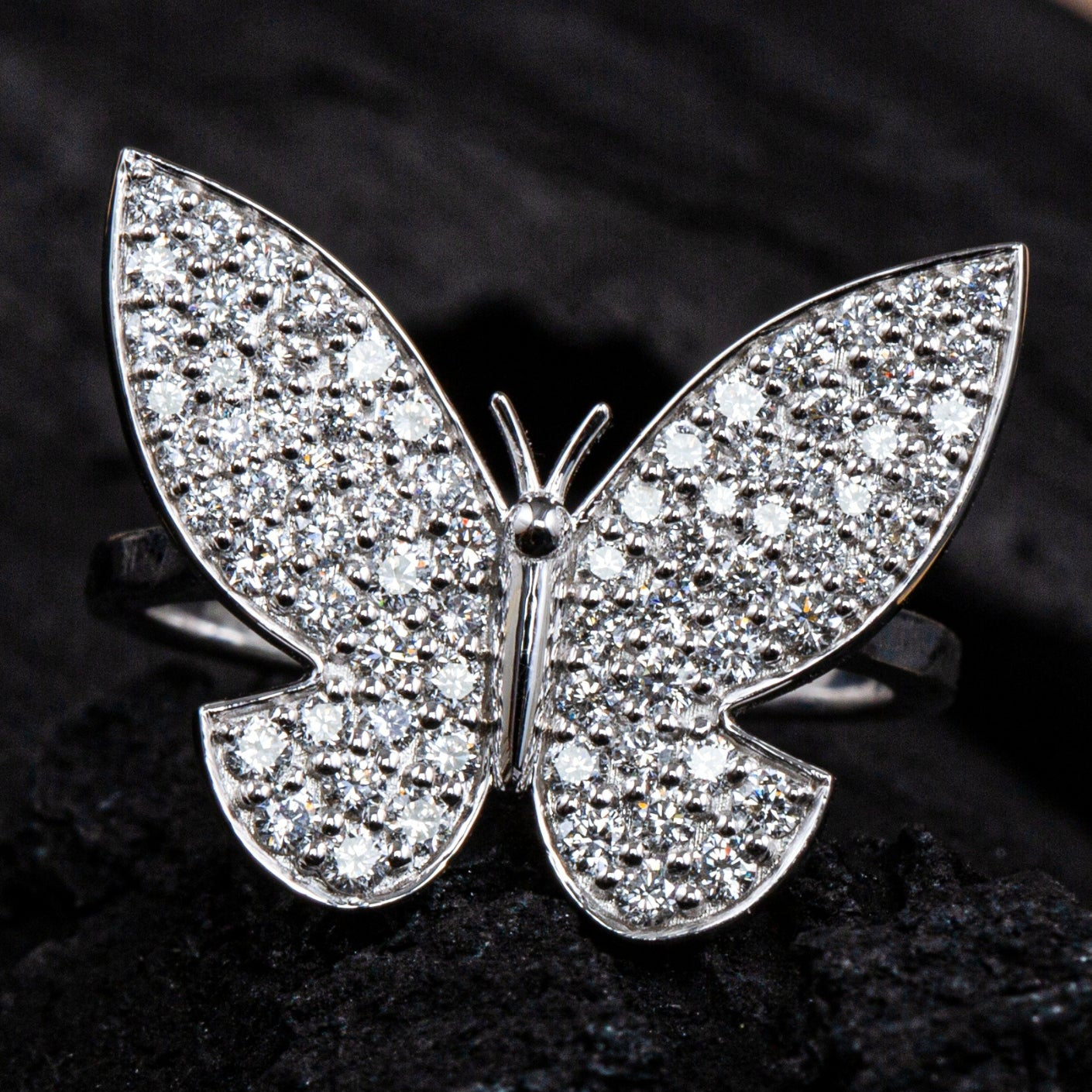 TAGUS BUTTERFLY "FAUNA".